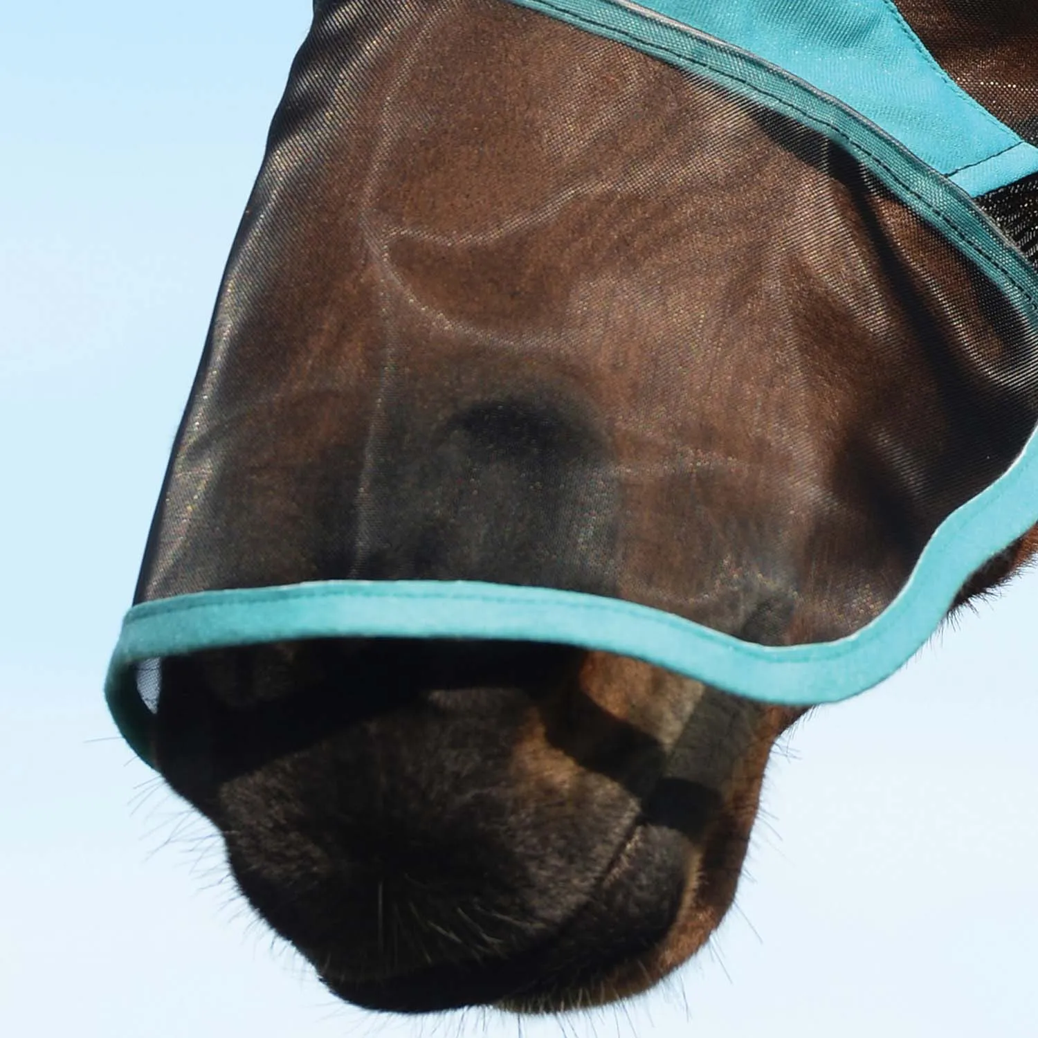 WeatherBeeta ComFITec Deluxe Fine Mesh Fly Mask